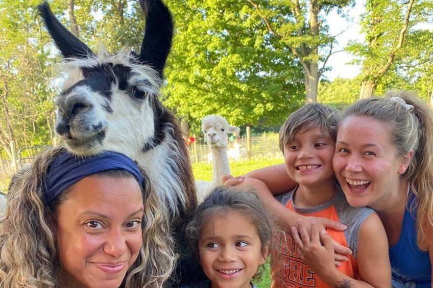 Een lama met een persoon in een blauwe hoofdband, een kind in een oranje shirt en een ander kind in een groene shirt. 4