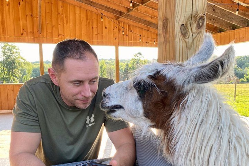 A person sitting at a table with a horse. 2