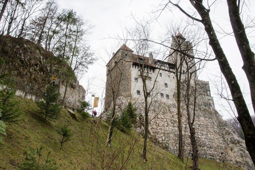 Ett slott på en kulle, omgivet av träd och ett bergigt landskap. 1