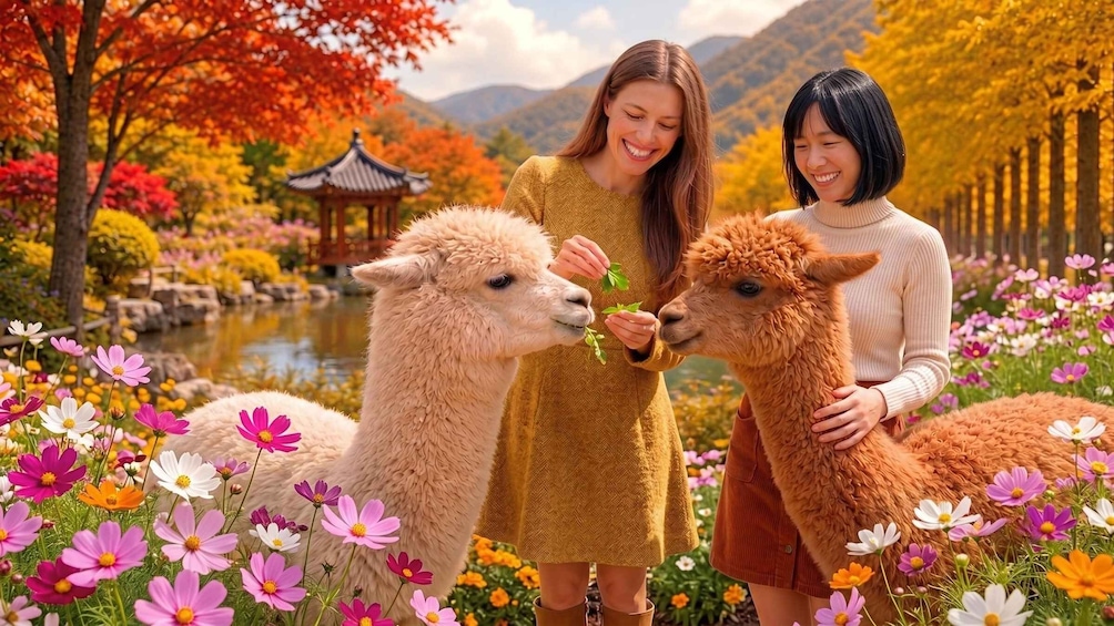 Alpaca World, Nami and Rail Bike or K-Garden tour from Seoul 1