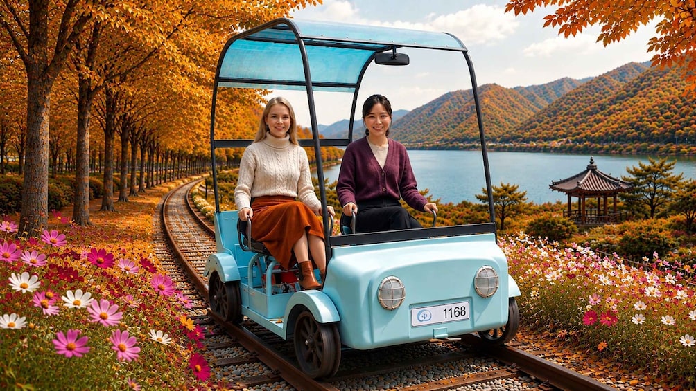 From Seoul: Nami Island, K-Garden and Rail Bike Tour 1