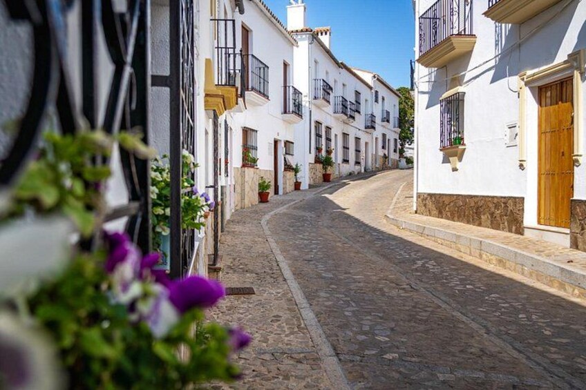 A cobblestone street lined with white buildings, some with balconies and flower boxes. 2