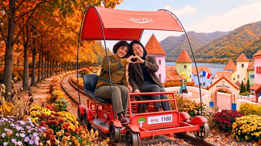 Nami Island, Petite France and Gangchon Railbike from Seoul 1
