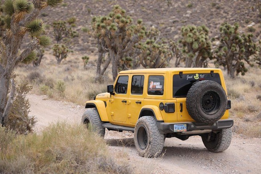 A yellow off-road vehicle on a dirt path with Joshua trees in the background. 4