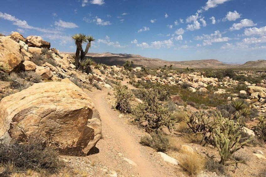5 Hour Las Vegas Off-Road: DIY Jeep Mojave Adventure 4
