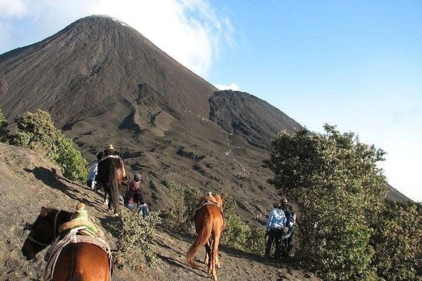Un grupo de personas caminando por una montaña con caballos. 4