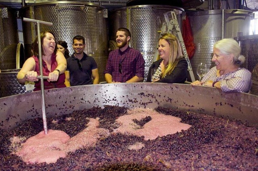 Mornington Peninsula Winery Tour - Lunch Included 1