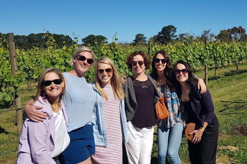 Mornington Peninsula Winery Tour - Lunch Included 4