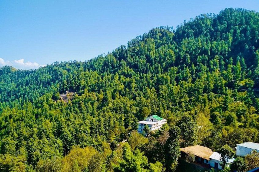 Full Day Private Murree Nathiagali Tour 3