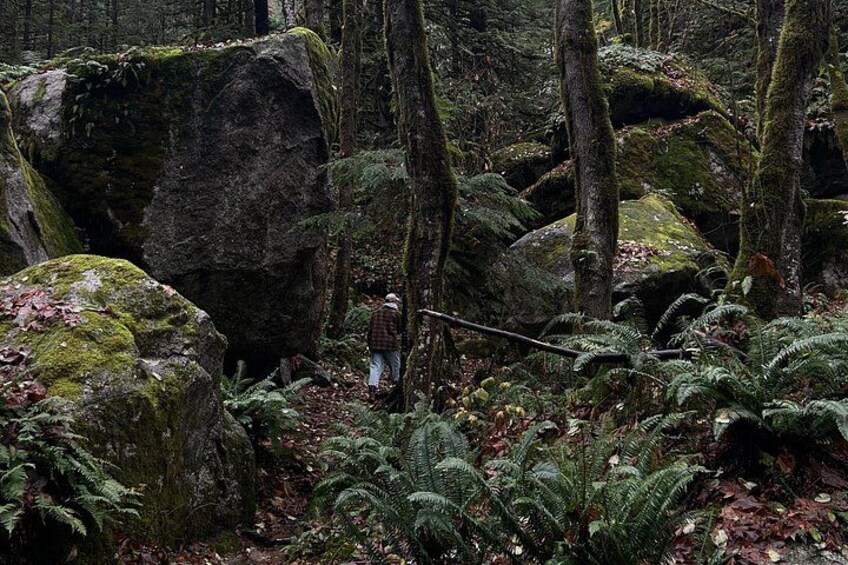 Shannon fall, Quercus Point and Squamish city Private tour 3