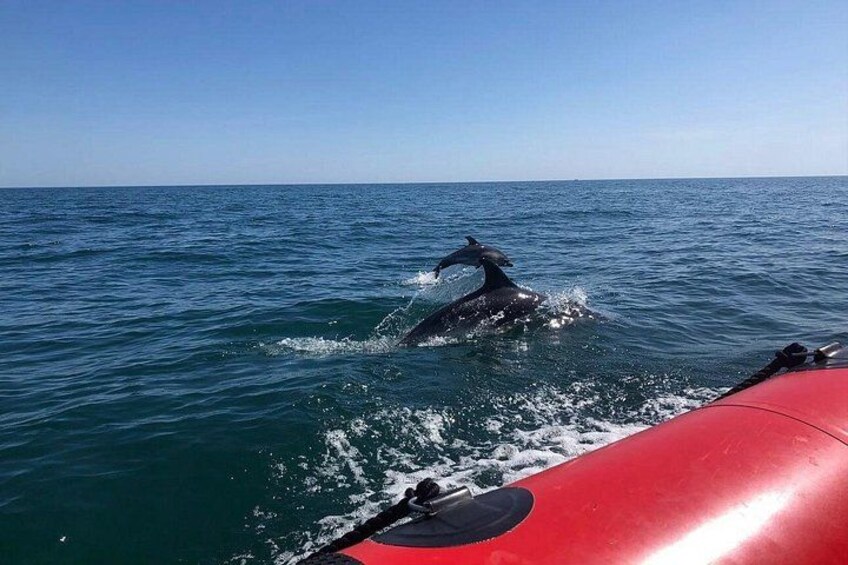 Una ballena emergiendo del océano, un barco rojo y cielos azules despejados. 2
