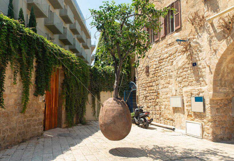 Jaffa Walking Tour: Old Jaffa, Jaffa Port & the Flea Market