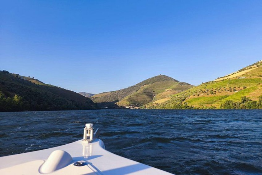 Boat tour 50min through the river Douro in Pinhão 4