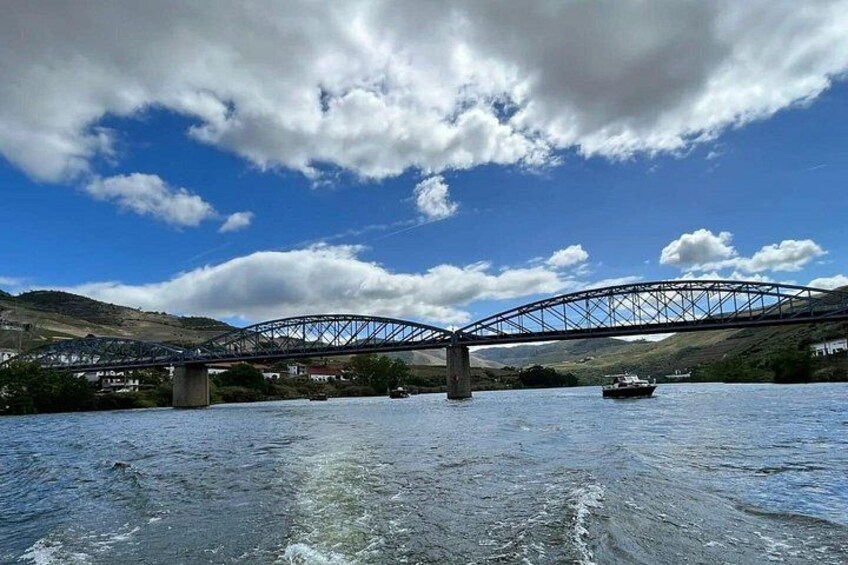 Boat tour 50min through the river Douro in Pinhão 3