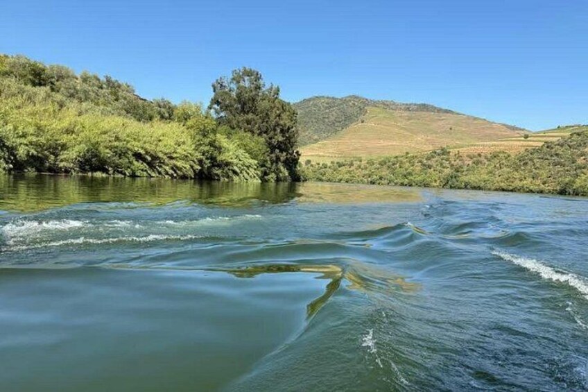Boat tour 50min through the river Douro in Pinhão 4