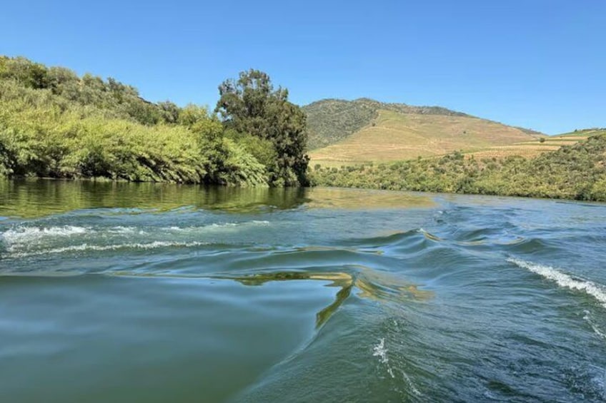 A river with gentle waves, surrounded by green hills and trees under a clear blue sky. 2