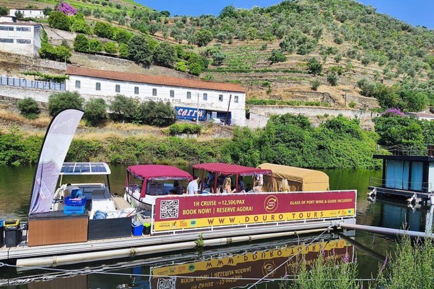 Boat tour 50min through the river Douro in Pinhão 2