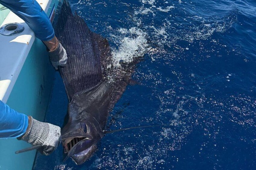 Offshore Fishing trip (Deep sea fishing) 2