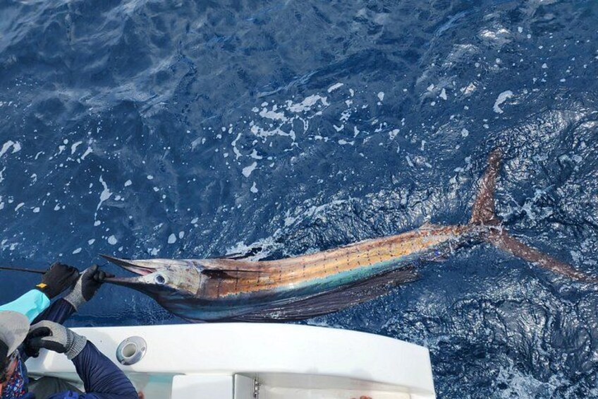 Offshore Fishing trip (Deep sea fishing) 5
