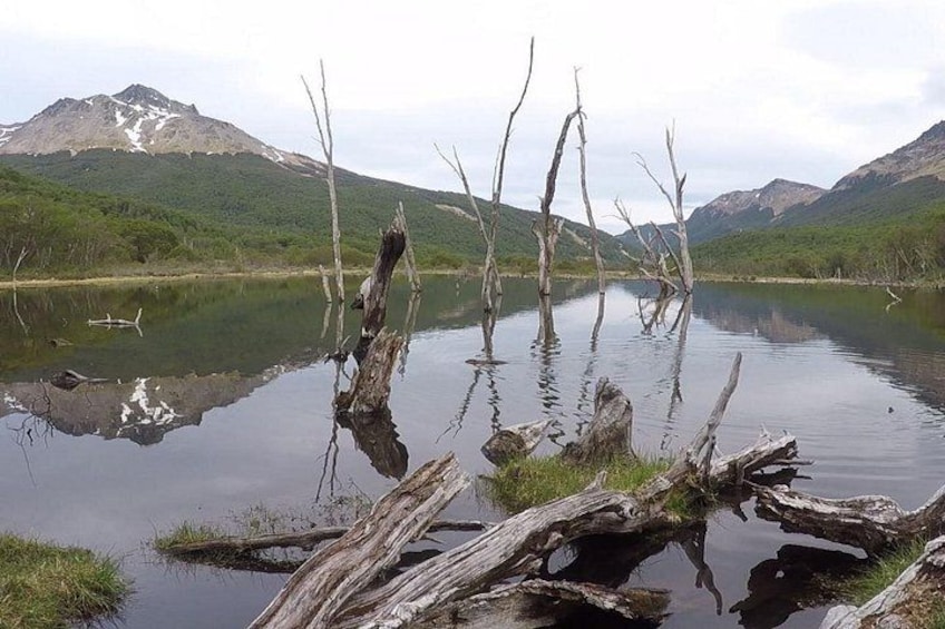 Half Day Tour to Lake Fagnano and Escondido 3
