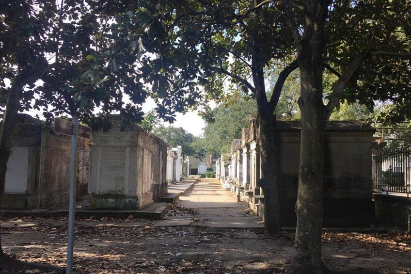 Una fila di vecchie lapidi consumate lungo un sentiero stretto, circondato da alberi e un recinto. 3