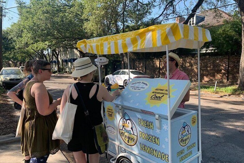 45-Minute Garden District Highlights Tour in New Orleans 5