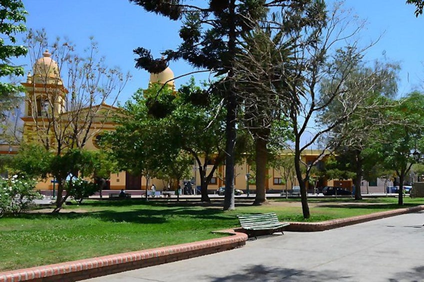 From Salta: Full-Day Tour to Cafayate, Land of Wines 2