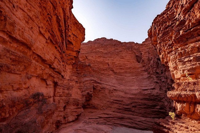 From Salta: Full-Day Tour to Cafayate, Land of Wines 3