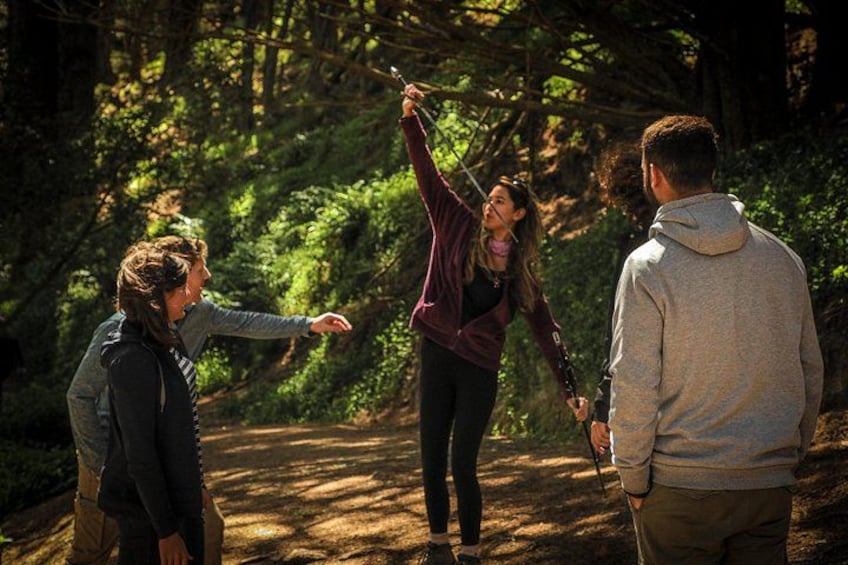 A group of people hiking on a forest trail. 2
