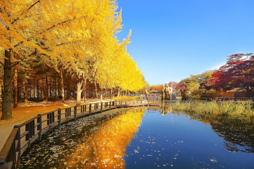 Un parco tranquillo con un canale che riflette l'ambiente circostante, un'esplosione di foglie gialle e un'architettura tradizionale. 3