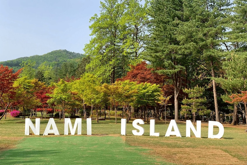 Un parco con alberi e il testo 'NAMI ISLAND' sull'erba. 1