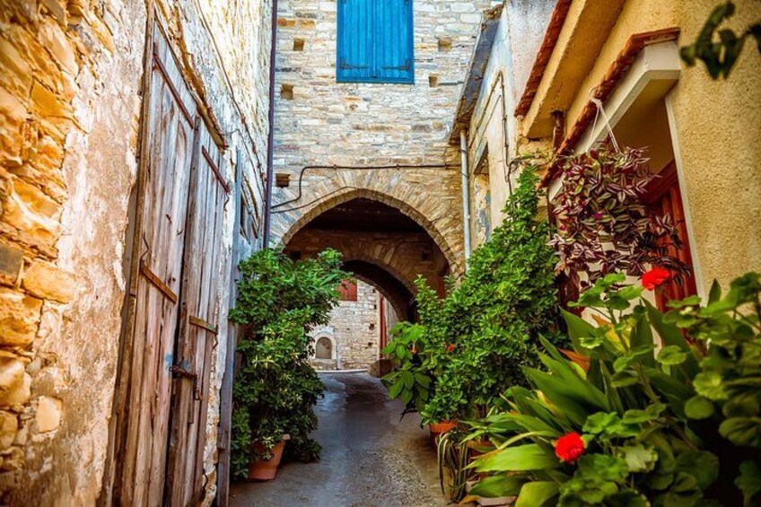 A narrow stone alleyway with an arched entrance, potted plants, and a red flower. 5