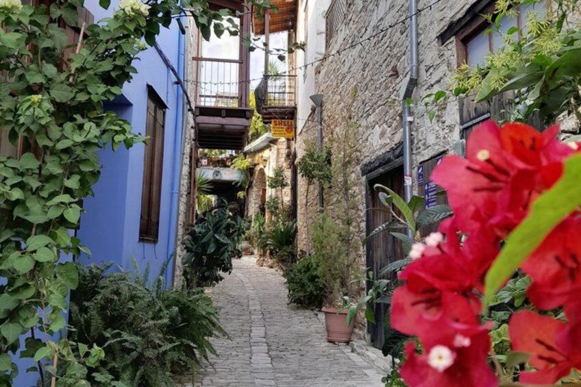 Authentic Cyprus - Taste Tour to Cyprus Villages in Polish 1