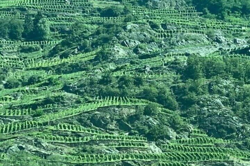 Private Lake Como & UNESCO Dry-stone Walls Vineyards 4