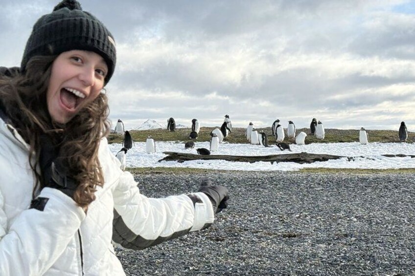 Penguin and Centolla Tour in 4x4 1