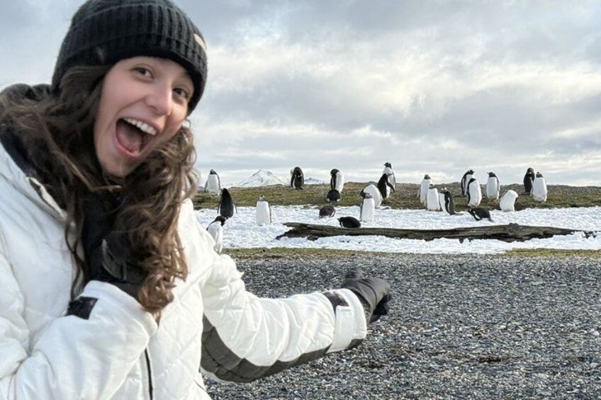 Penguin and Centolla Tour in 4x4 1