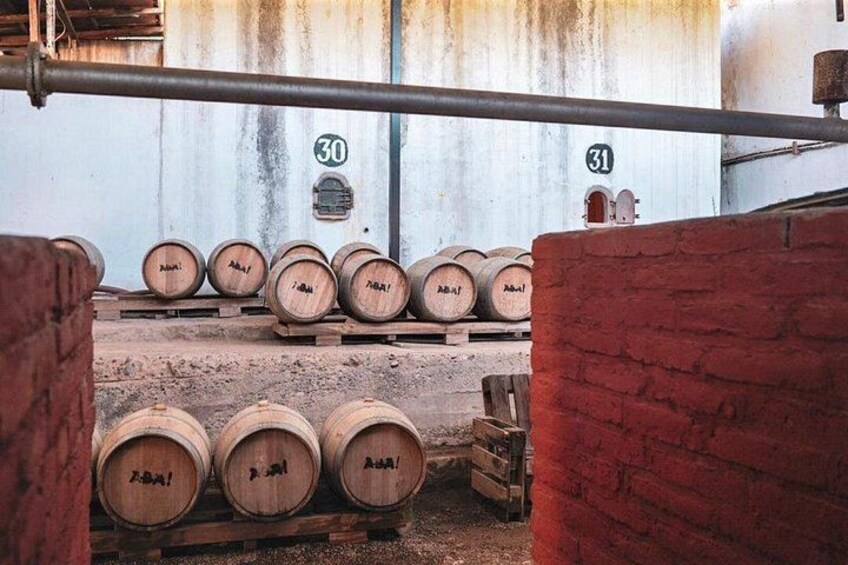 Elqui Valley Tour: History and Flavors 3