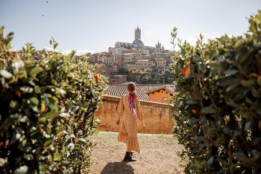 Una persona cammina su un sentiero con uno skyline urbano sullo sfondo. 4
