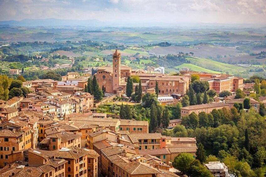 Private Day Trip: From Florence To Montepulciano, Siena And Back 1