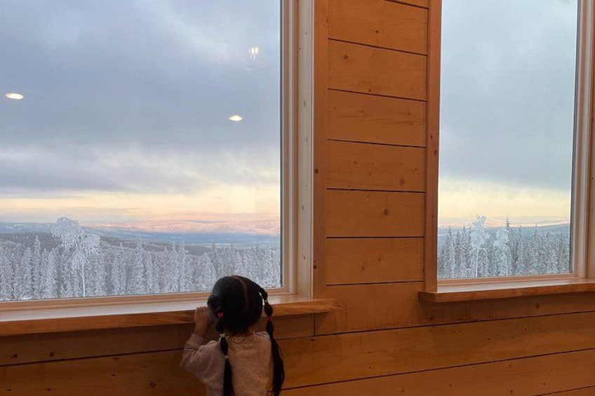 View! View! View! 2