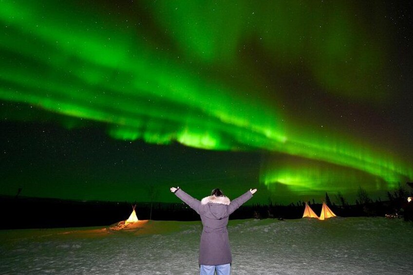 A person standing with arms raised, facing the Northern Lights. 2