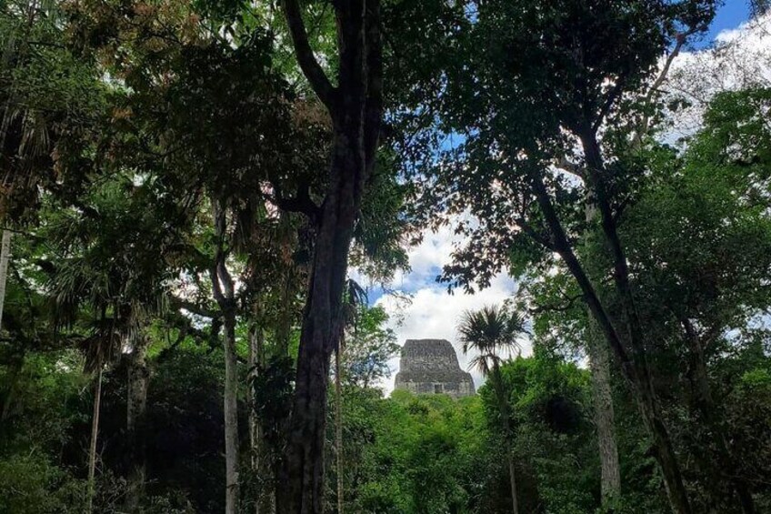 Tikal Mayan Ruins 