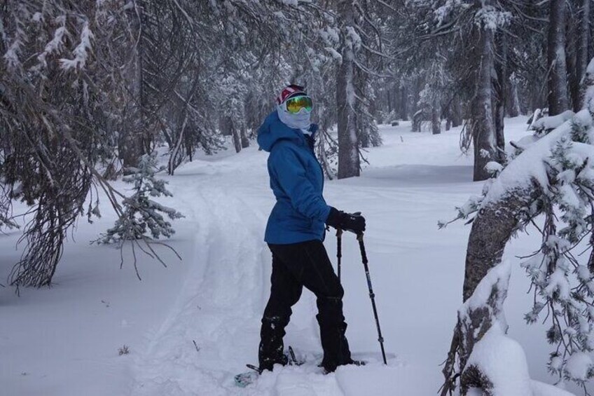 Guided Snowshoe Experience in Lake Tahoe