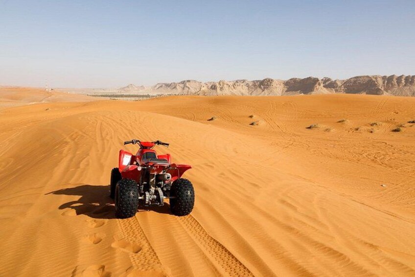 Private Tour Desert Safari in Al Thumama from Riyadh 2
