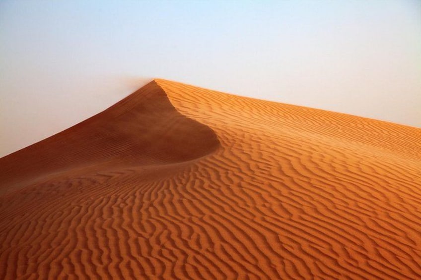 Private Tour Desert Safari in Al Thumama from Riyadh 3