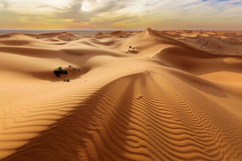 Private Tour Desert Safari in Al Thumama from Riyadh 1