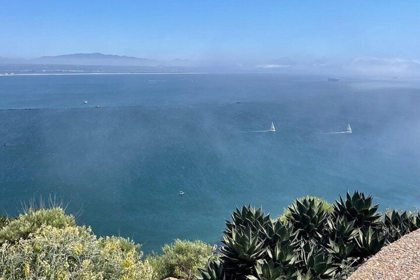 Incredible views at Cabrillo National Monument! 4