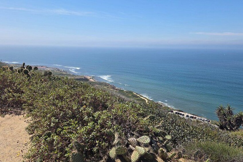 A coastal landscape with a sandy beach, cacti, and the ocean. 3