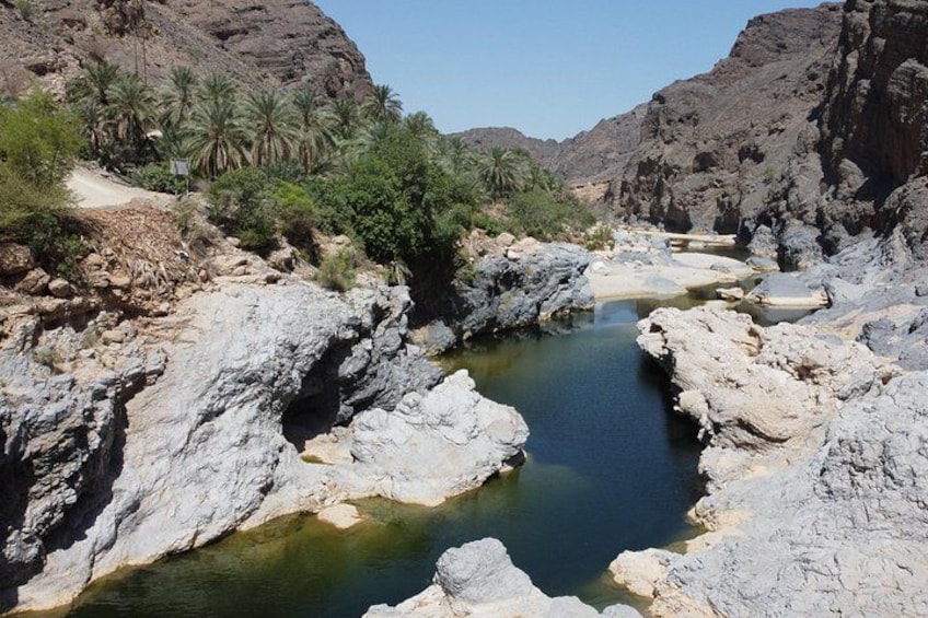 A rocky canyon with a narrow water channel, palm trees, and a clear sky. 1