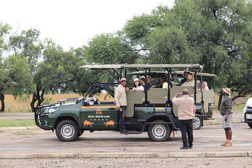 3-Hour Scheduled Safari Game Drive in Pilanesberg National Park 2